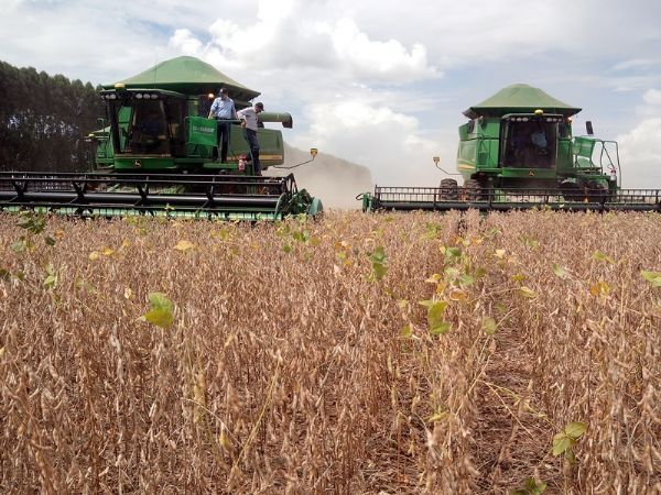 Oito municpios encerram colheita da soja em Mato Grosso, revela Imea