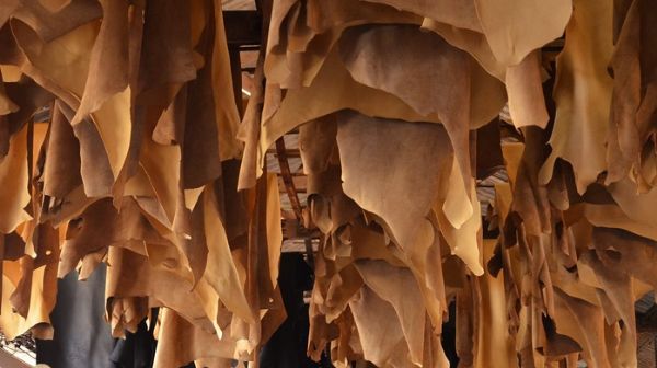 Exportação de couro de Mato Grosso cresce quase 100% em três anos
