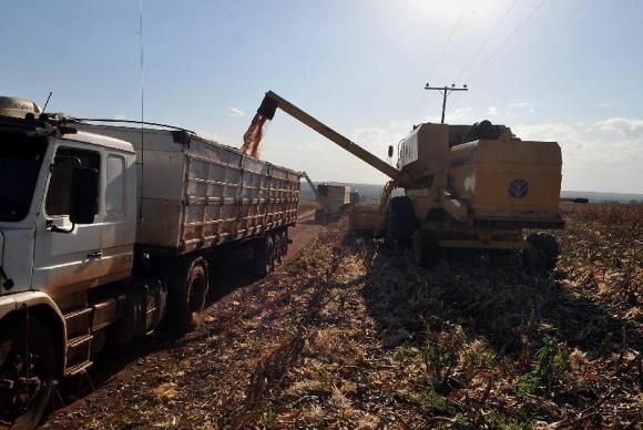 Colheita atinge 16,25% da área de soja em Mato Grosso; produtores devem estar atentos à chuva