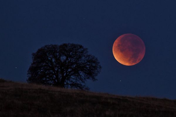 Final de semana terá eclipse lunar total e 'Super Lua de Sangue'