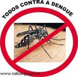 Saúde notificou 3.378 casos de dengue e três mortes em 2011