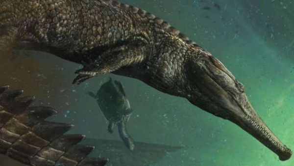 Crocodilo pr-histrico do tamanho de um nibus  descoberto