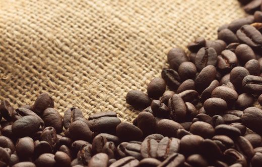 Redução no preço do café provoca queda na produção de mudas em MG