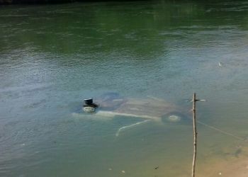 Mulher morre afogada após automóvel voltar de ré e cair dentro de rio