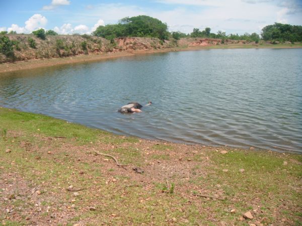 Homem morto em lagoa teria sido afogado por seguranças da fazenda de João Arcanjo