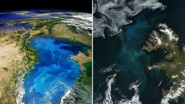 'Fertilização' de oceano pode ajudar a conter aquecimento global, diz estudo