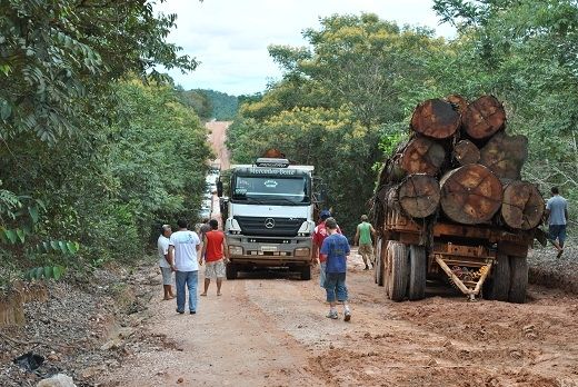 MPE oferece denúncia contra cinco por extração ilegal de madeira em reserva indígena Kayabi, em MT