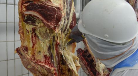 Justia mantm justa causa a trabalhador de frigorfico que mutilava animais para 'testar' facas (Crédito: Olhar Direto)