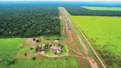 Mais de 60 mil hectares da ''Boi Gordo'' vai  leilo por R$88 milhes