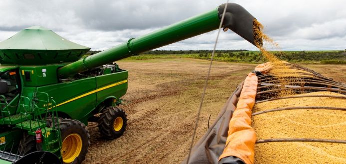 Produtor de soja vai precisar vender 55 sacas por hectare para cobrir custos de produo