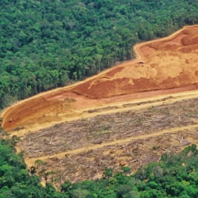 Relatrio aponta que MT reduziu desmatamento em 30% e caiu para 5