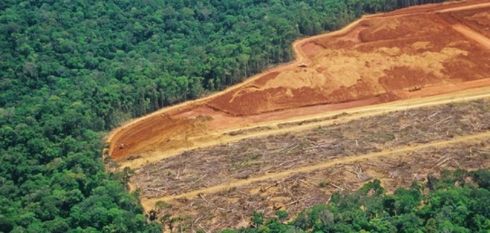 Relatrio aponta que Mato Grosso reduziu desmatamento em 30% e caiu do 3 para o 5 lugar em ranking