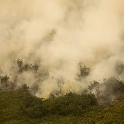 Mato Grosso registra maior nmero de focos de incndio no pas pelo segundo ms consecutivo