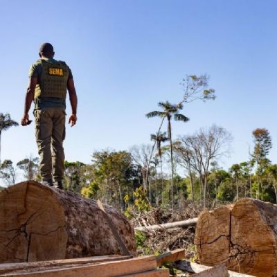 Perodo proibitivo para explorao do manejo florestal sustentvel encerra na segunda