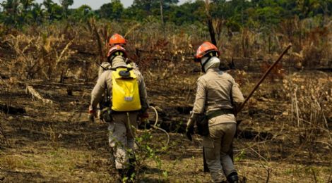 Ao contrrio do RS, MT passar por seca severa at fim de outubro; veja planos para salvar o Pantanal de incndios
