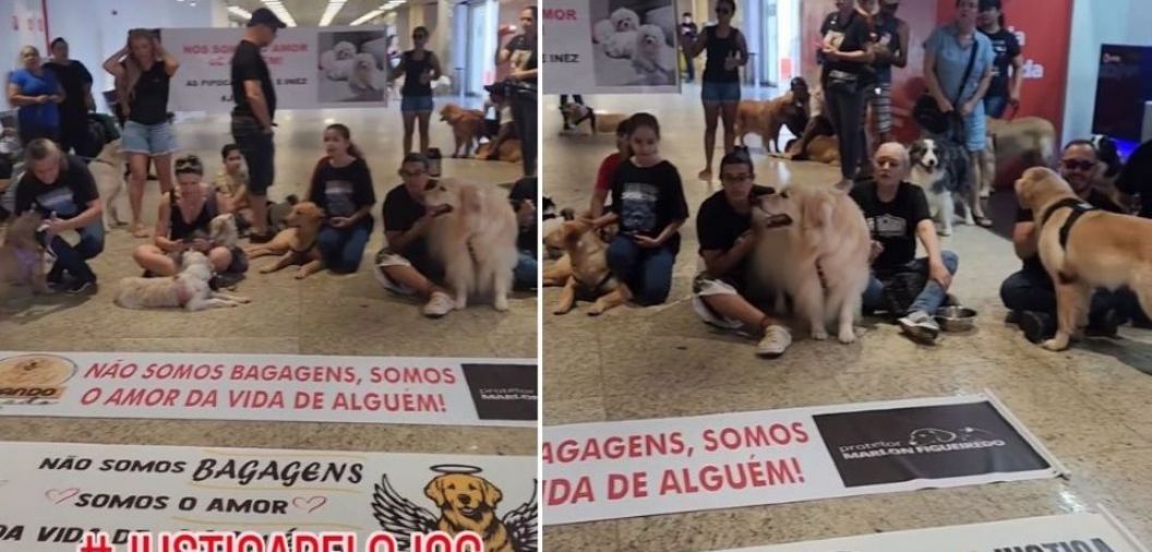 Tutores de pets fazem manifestao no aeroporto Marechal Rondon contra morte do golden Joca