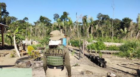 Operao aplica multa de R$ 2,8 bilhes a infrator que desmatou o Pantanal de MT