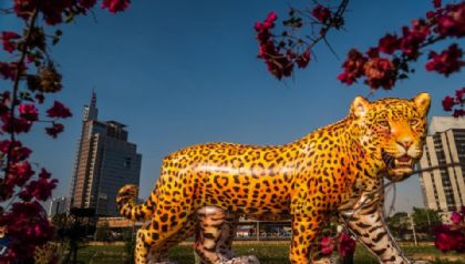 Parque Me Bonifcia recebe esculturas inflveis de onas-pintadas gigantes e oficinas gratuitas