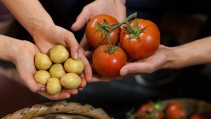 Tomate e batata ajudam a reduzir o preço da cesta básica