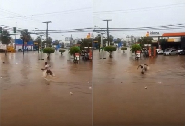 Vdeo de homem mergulhando em avenida alagada de Cuiab viraliza nas redes sociais