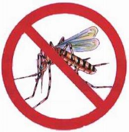 ltimo boletim confirma 276 casos de dengue na capital