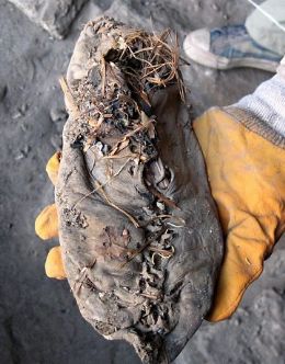 Cientistas afirmam ter achado o sapato mais velho do mundo