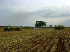 Adubo vai pesar mais no bolso do agricultor em 2010