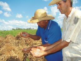 BB orienta agncias a liberar crdito para produtores rurais