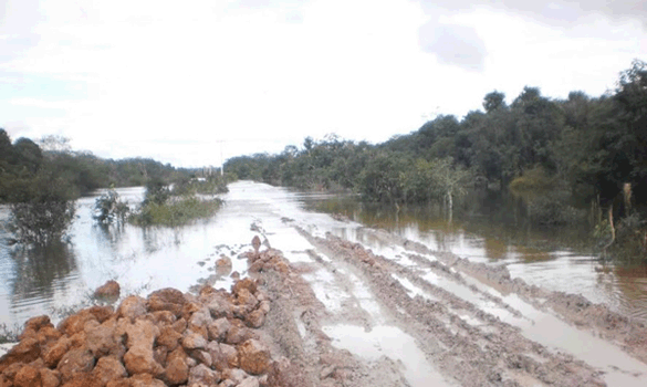 Chuvas deixam zona rural de Querncia ilhada