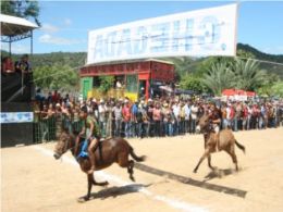 Corrida de burros  tradio em Pernambuco e agora chega ao Araguaia