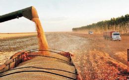 Chuva reduz ritmo da colheita de soja em MT