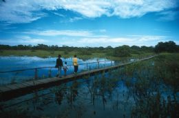 Em parceria com Ibama, pousada do Pantanal devolve araras  natureza