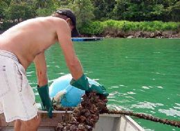 Ministrio da Pesca vai ampliar maior projeto de maricultura no pas
