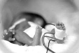 Beb indgena de duas semanas  violentada e morre em hospital de MT