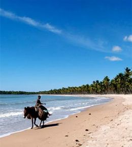 Ilha do sul da Bahia esconde belas praias e rica fauna