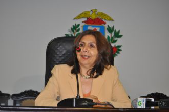 Representante da Bolvia nega regularizao de carros roubados