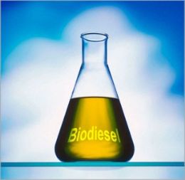 Ipea: estudo apresenta potencialidades e perspectivas para etanol e biodiesel