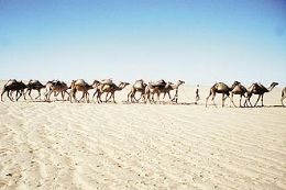 Empresas alems devem lanar maior projeto de energia solar no deserto do Saara