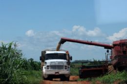 Escassez de crdito preocupa produtores de Rondonpolis