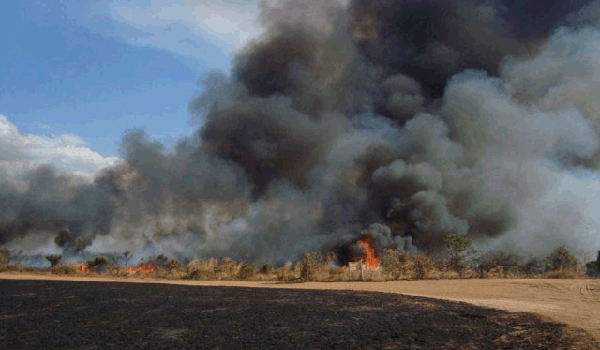 Incndio criminoso queima parte de propriedade rural em Mato Grosso