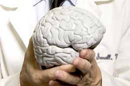 Alterao de atividade cerebral modifica julgamento moral, diz estudo