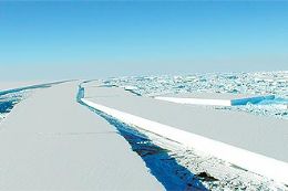 Icebergs formados no ano passado pela quebra da plataforma Wilkins, que  mais uma a se esfacelar na pennsula Antrtica