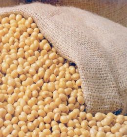 USDA: Lavouras de soja em boa forma somam 64% nos EUA