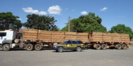 Carreta transportava madeira com documentao irregular e foi apreendida em estrada vicinal
