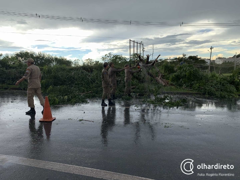 Tempestade deixa 22 regies de Cuiab e VG sem energia e causa queda de rvores