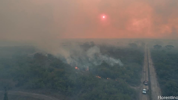 Fogo no Pantanal mato-grossense consumiu rea de 204 mil hectares e j dura quase um ms