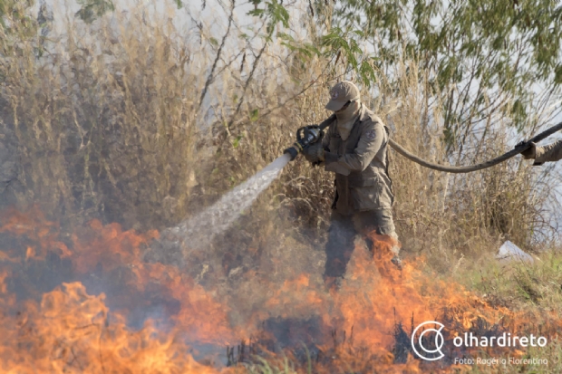 Parte do fogo no Pantanal comeou em fazendas que vendem gado para grupos Amaggi e Bom Futuro