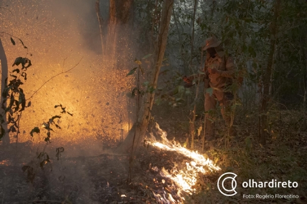 TCE prope fora-tarefa para preveno e combate s queimadas no Pantanal