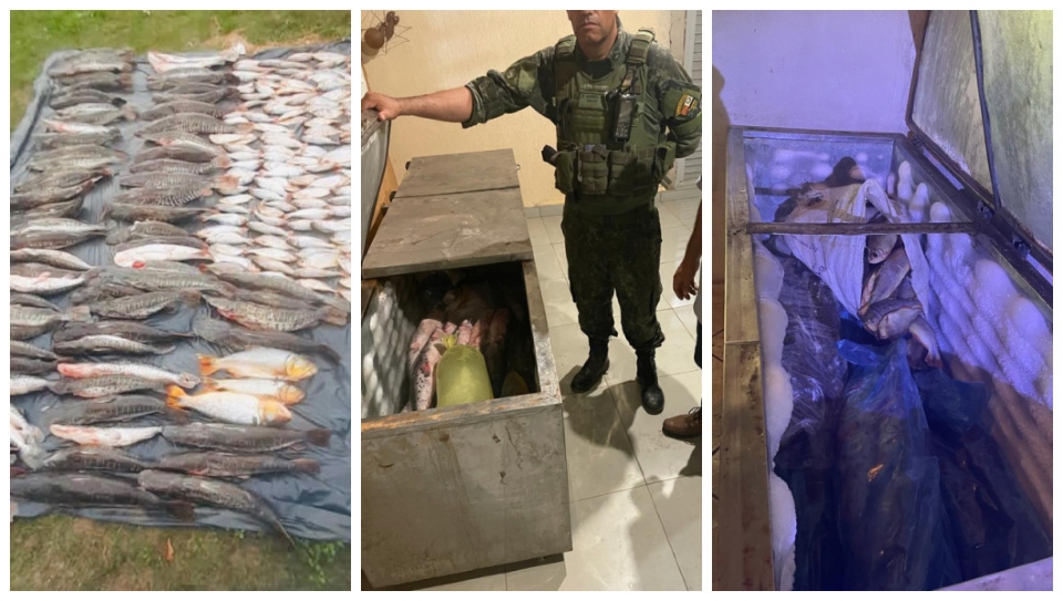 Batalho Ambiental da PM apreende 300 quilos de pescado irregular em Cuiab; veja vdeo