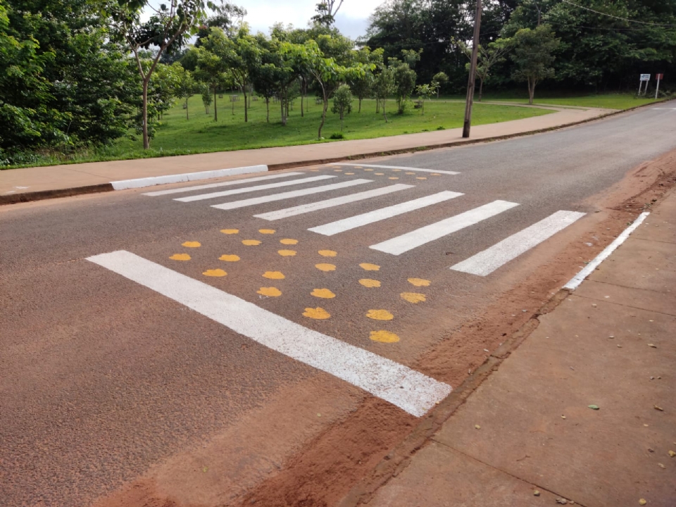 Capivaras ganham faixa de pedestre 'exclusiva' em cidade de Mato Grosso